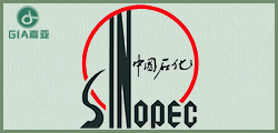 中国石化